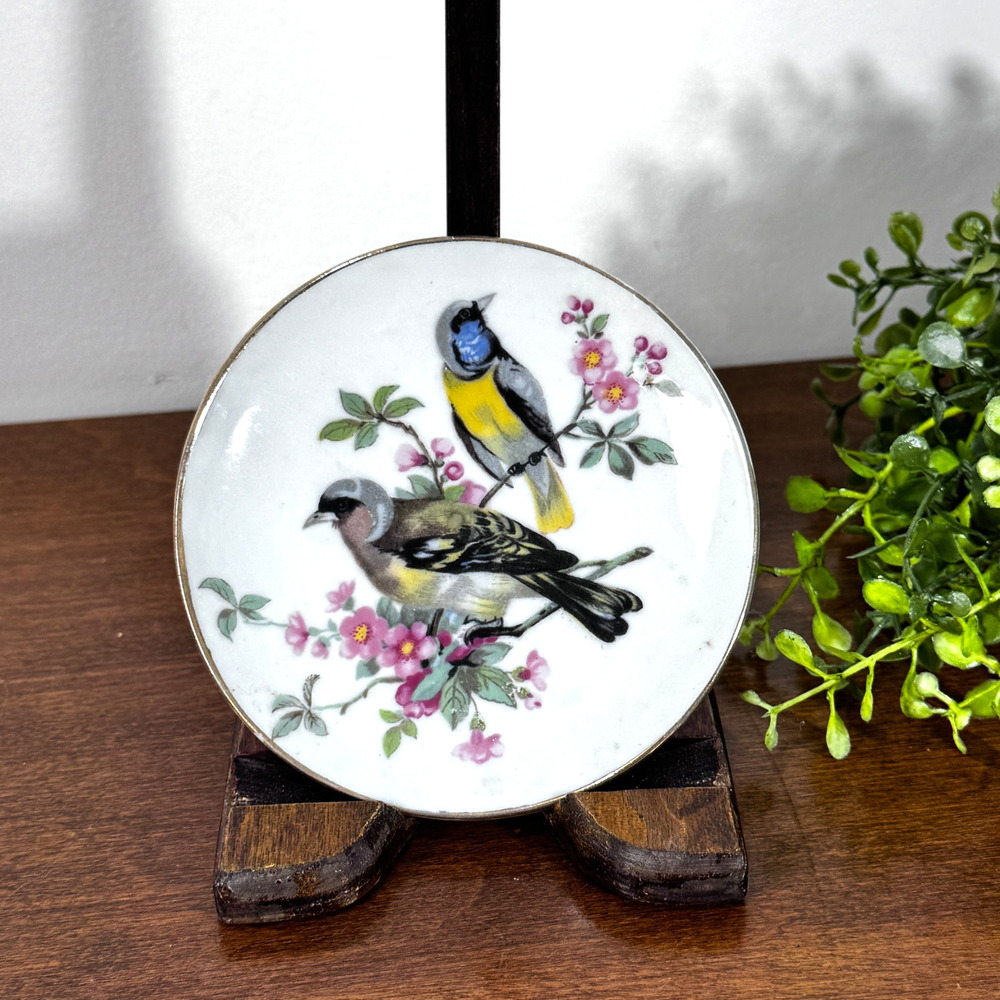Vintage Hand-Painted Bird Plate Blue Tit and Chaffinch Songbirds 4"